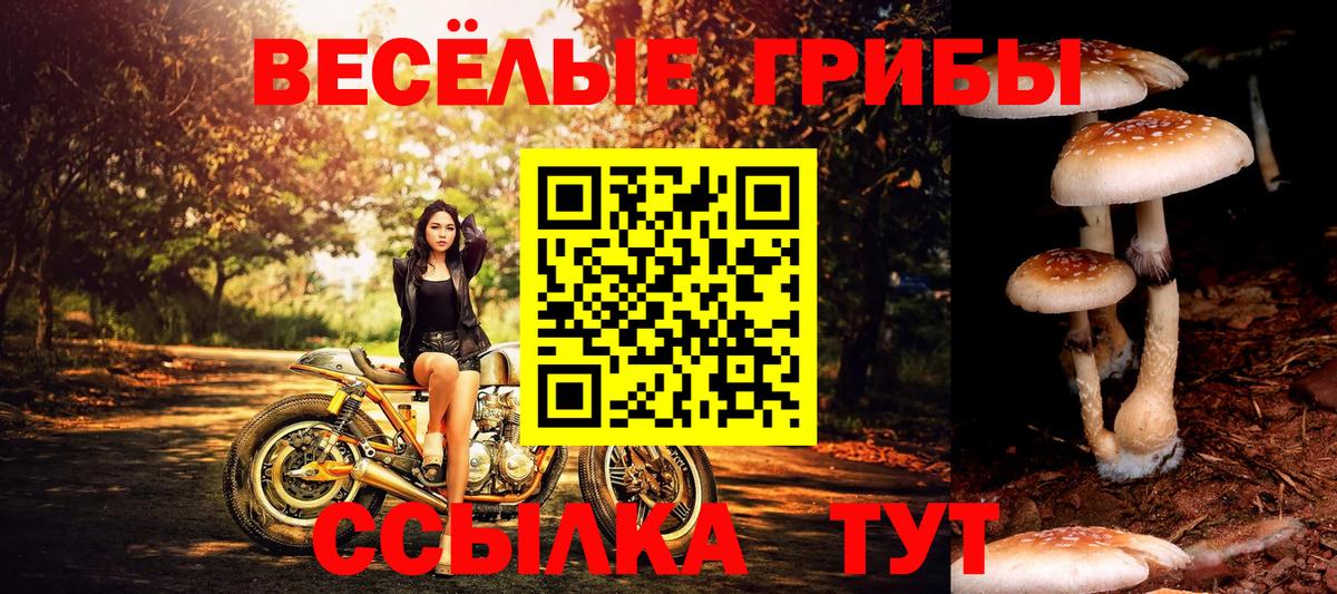 Галлюциногенные грибы GOLDEN TEACHER  Вход с VPN  Прохладный 
