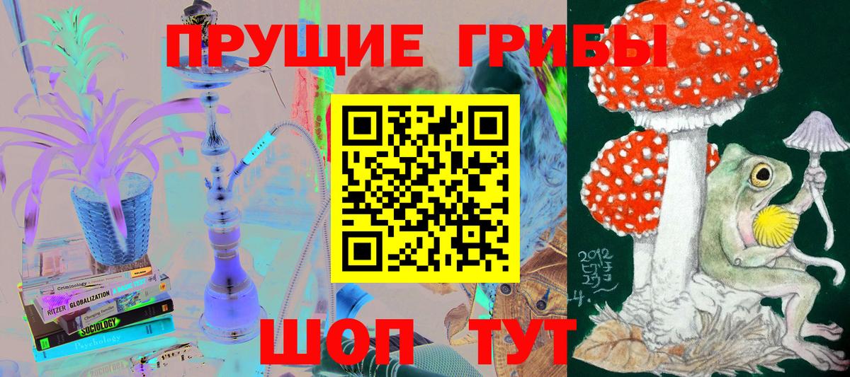 Галлюциногенные грибы Psilocybine cubensis Прохладный